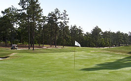 Pinehurst golf course homes give you views like this everyday!